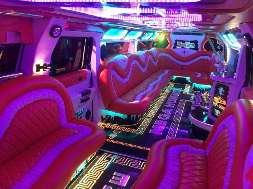 LIMOUSINE AT DISPOSAL